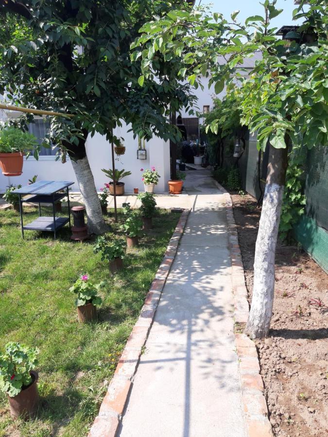 Hotel House Craiova Esterno foto